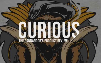 Curious Cannanoob – The Knockout