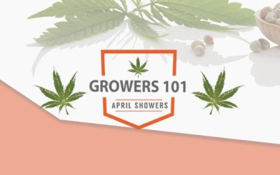 Growers 101 – March 2016