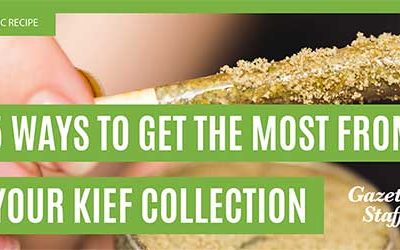 THC Recipe – 5 Ways To Get The Most From Your Kief Collection