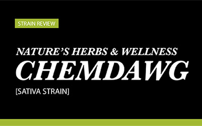 Strain Review – Chemdawg