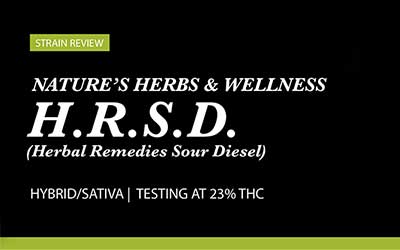 Strain Review – Herbal Remedies Sour Diesel