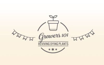Growers 101 – October 2015