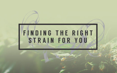 Finding the Right Strain for You