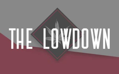 The Lowdown – January 2016