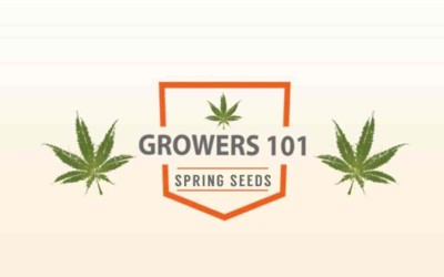 Growers 101 – February 2016