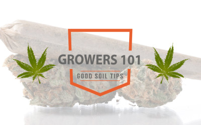 Growers 101 – April 2016