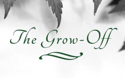 The Grow Off