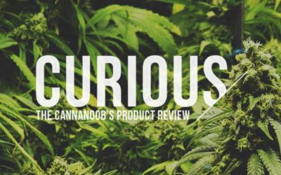 Curious Cannanoob – Abusive Kush c02 Oil — Lotus Medical