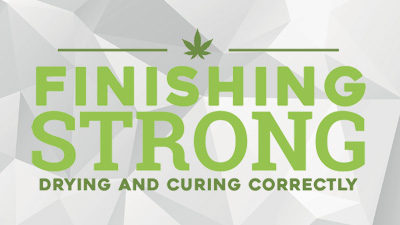 Finishing Strong – Drying and Curing Correctly