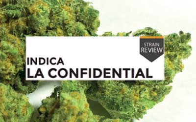 Strain Review LA Confidential