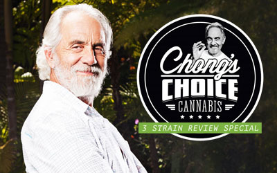 Strain Review – Chong’s Choice Cannabis 3 Strain Review Special