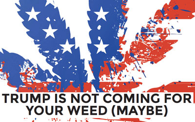Trump Is Not Coming For Your Weed (Maybe)