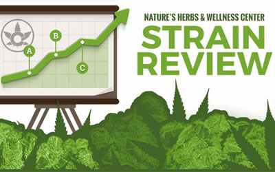 Strain Review – Testing Off The Charts