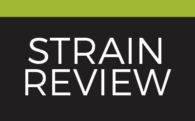 Strain Review – Gorilla Glue
