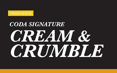 Product Review – Coda Signature Cream & Crumble