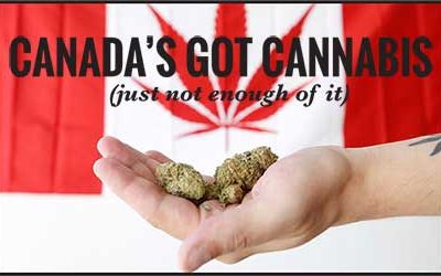 Canada’s Got Cannabis (just not enough of it)