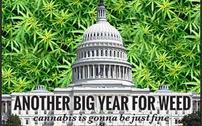 Another Big Year For Weed – cannabis is gonna be just fine