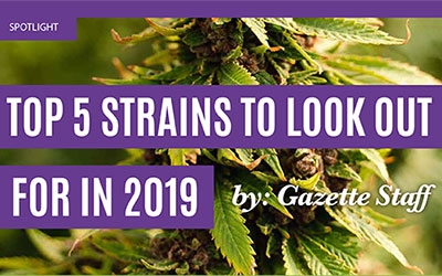 Top 5 Strains To Look Out For In 2019