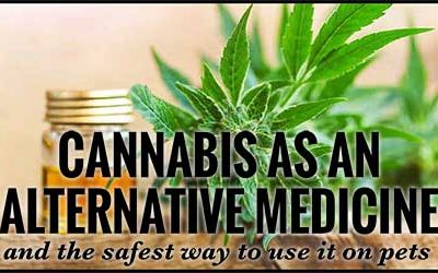 Cannabis As An Alternative Medicine