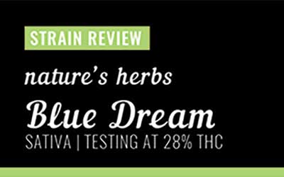 Strain Review – Blue Dream